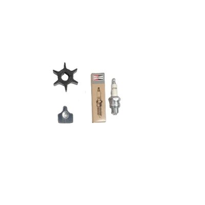 JOHNSON EVINRUDE 4,5HP-5HP-6HP-7,5HP-8HP SERVICE KIT