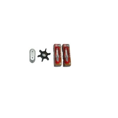 JOHNSON EVINRUDE 9,9hp-15hp SERVICE KIT