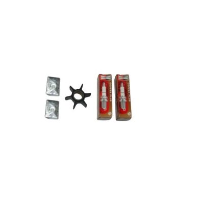 JOHNSON EVINRUDE 9,9hp-15hp SERVICE KIT