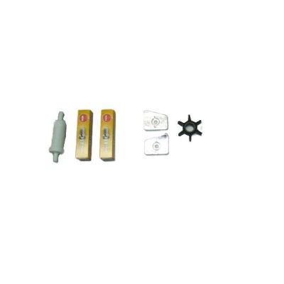 JOHNSON EVINRUDE 20hp-25hp-30hp SERVICE KIT