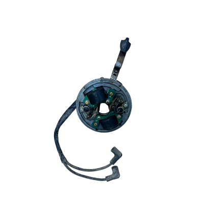 JOHNSON-EVINRUDE 4HP STATOR Assy, P/N: 0581999